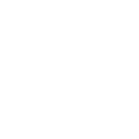 Network Icon